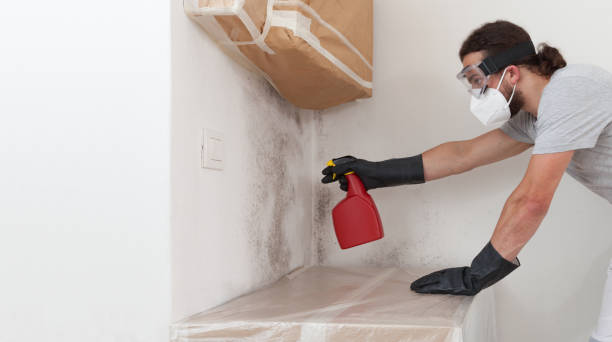 Professional Bathroom Mold Removal technician working in Hampstead, NC