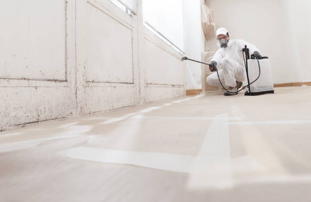 24/7 Emergency Bathroom Mold Removal experts in Hampstead, NC
