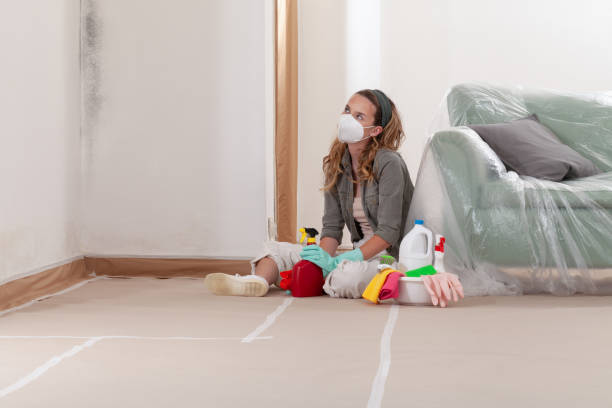 Reliable Bathroom Mold Removal contractor in Hampstead, NC by Mold Remediation HQ